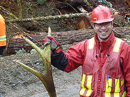 カナダの森　伐採 写真集