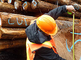カナダの貯木場 写真集
