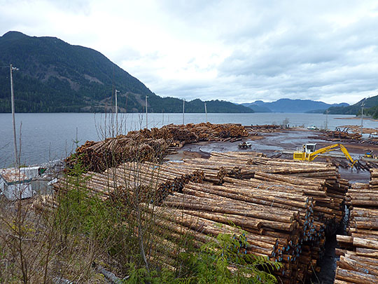 カナダの貯木場